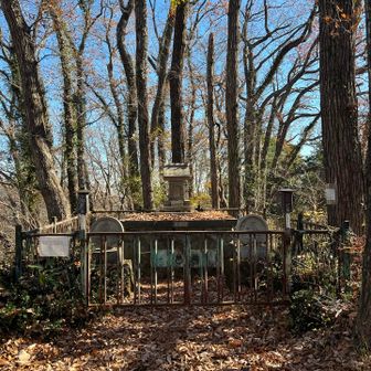 嵐山山頂の産霊宮水上神社
子宝の神様のようです
