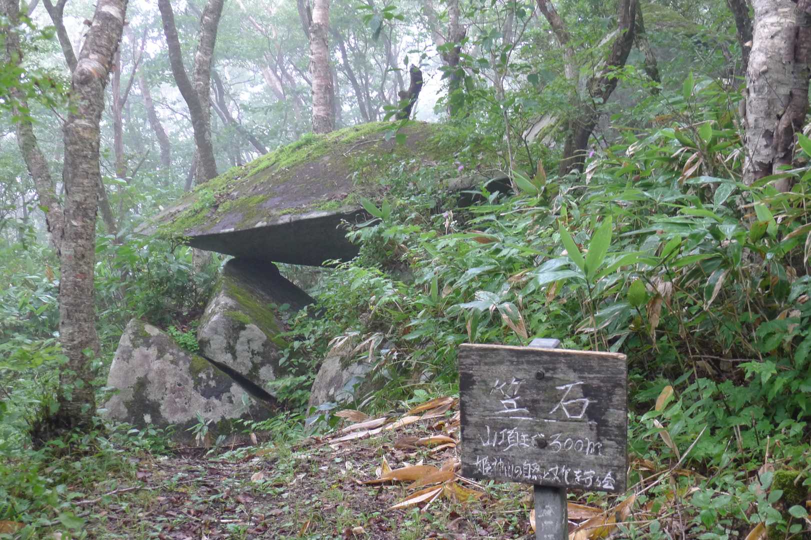 奇岩が多いコースであった。