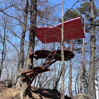 途中にはツリーハウス