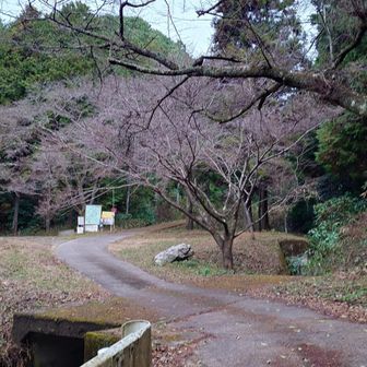 登山口駐車場。車なし😅