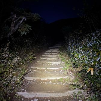最初は歩きやすい