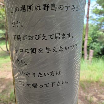 柱には…
ヤマガラ君、帰って来て～