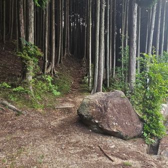 白糸の滝へ行く登山道から入ります。
