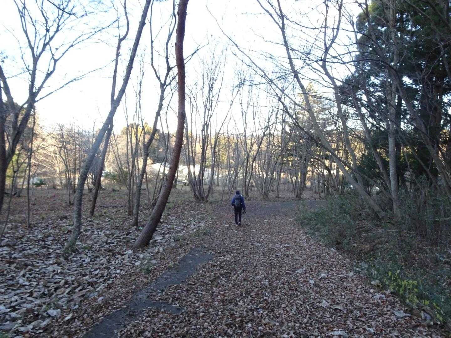 無事下山しました。