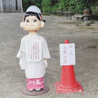 頭上落栗注意⸜( ˶'ᵕ'˶)⸝
お疲れ山 (^_^)/~~ｻﾖﾅﾗ