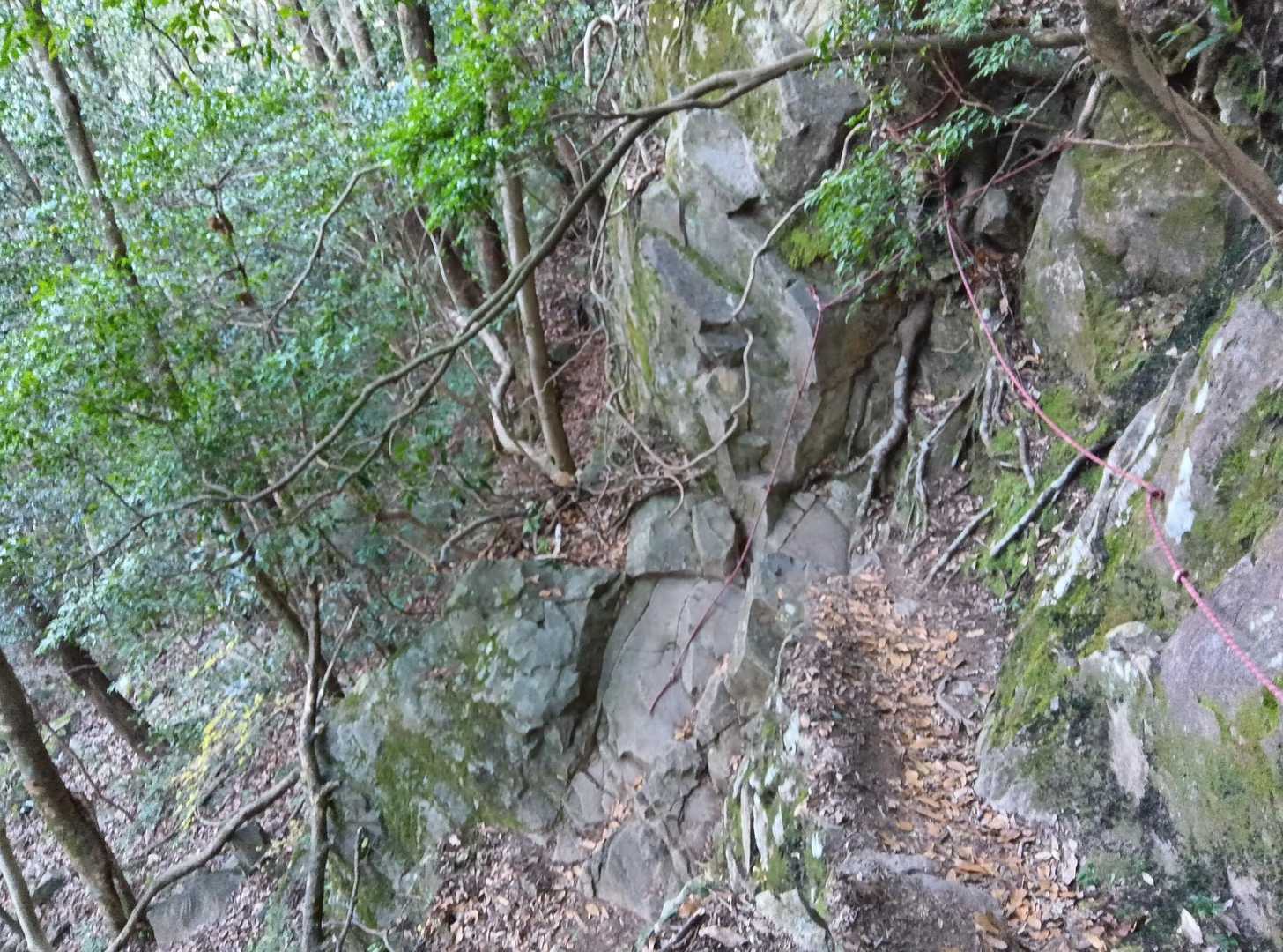 下山は家族連れコースから
家族連れコースといっても急なロープ場が1箇所有り