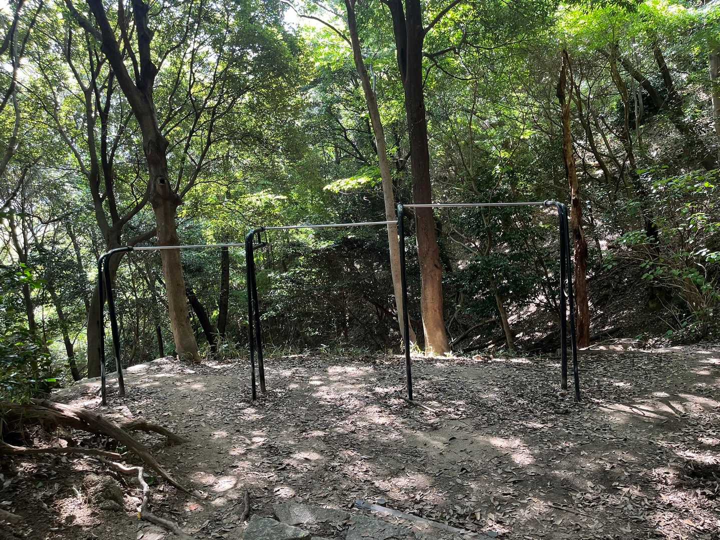 摩耶山青谷道登山口-摩耶山-忉利天上寺-上野道登山口 周回コースの写真