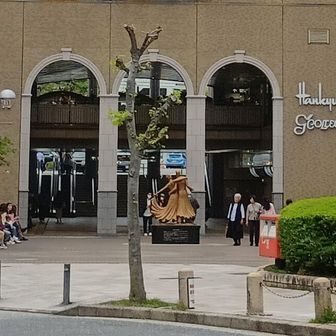 宝塚駅🚉
六甲山以降は、気合入れて走ったので、写真は撮れず、撮らず🏃🏼‍♂️💨