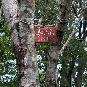 貪欲にピーク稼ぎ