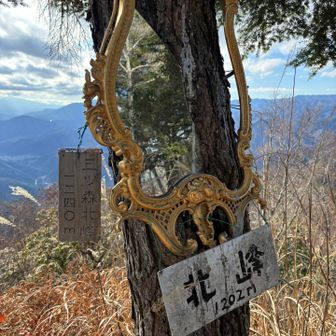 三ツ森北峰の山頂標識。なぜか割れた鏡があった。ちなみに三ツ森の南峰とか西峰とか東峰は付近には無かった