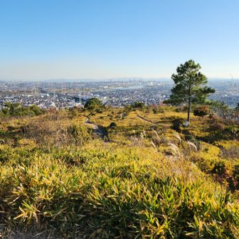 とても良い景色