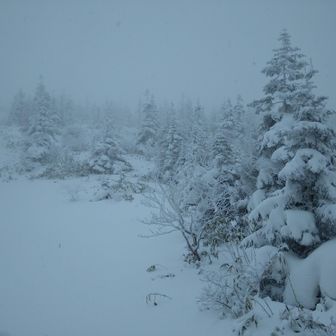 天候が良くないため山頂は行かないことに