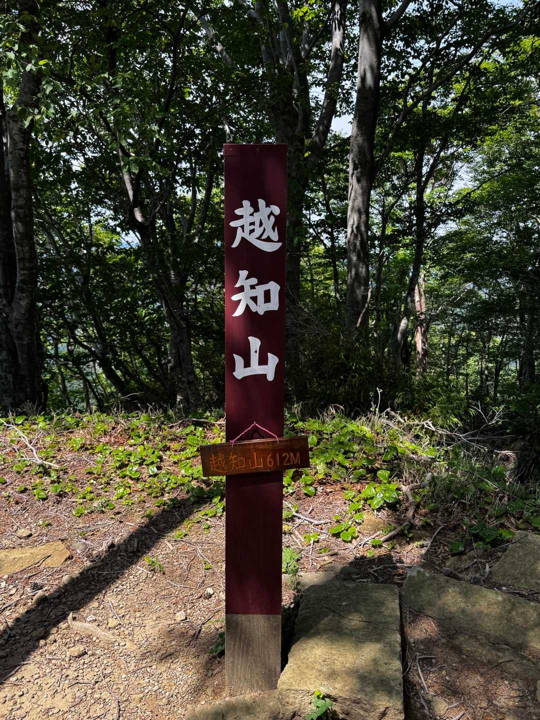 越知山🏔️