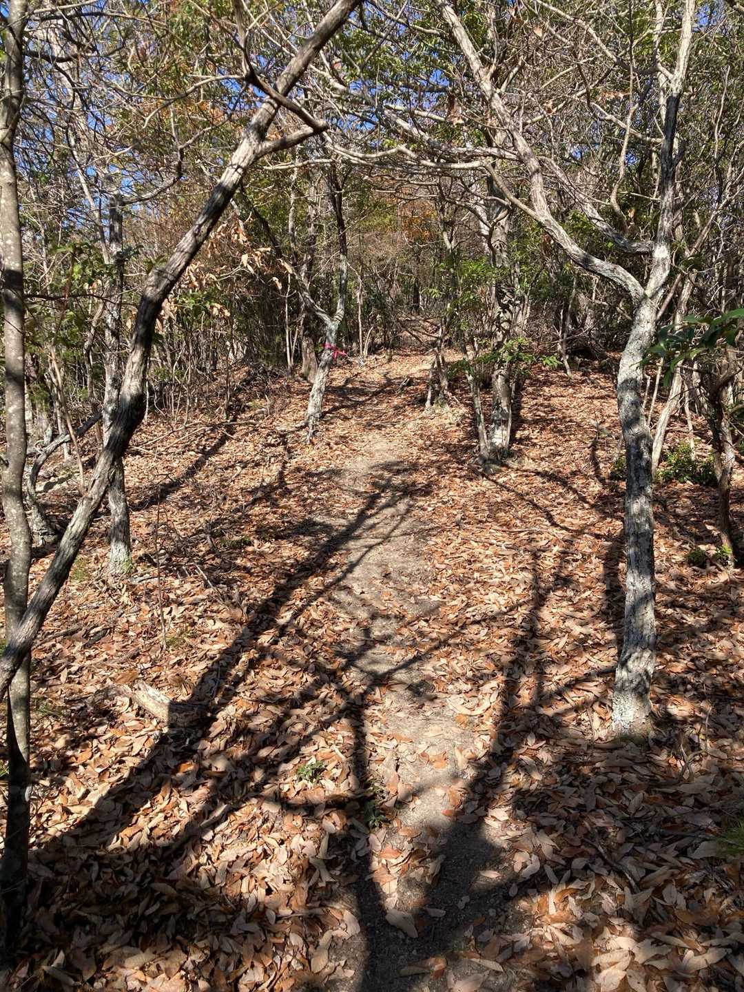 明瞭な尾根道😙