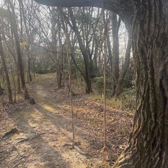 壊れてたんだと今気付く💦
最初からこの状態でした
娘っちが証人です😂