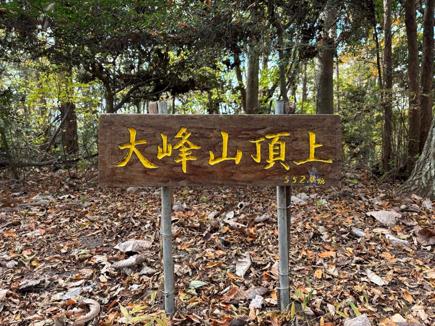 やったー🙌