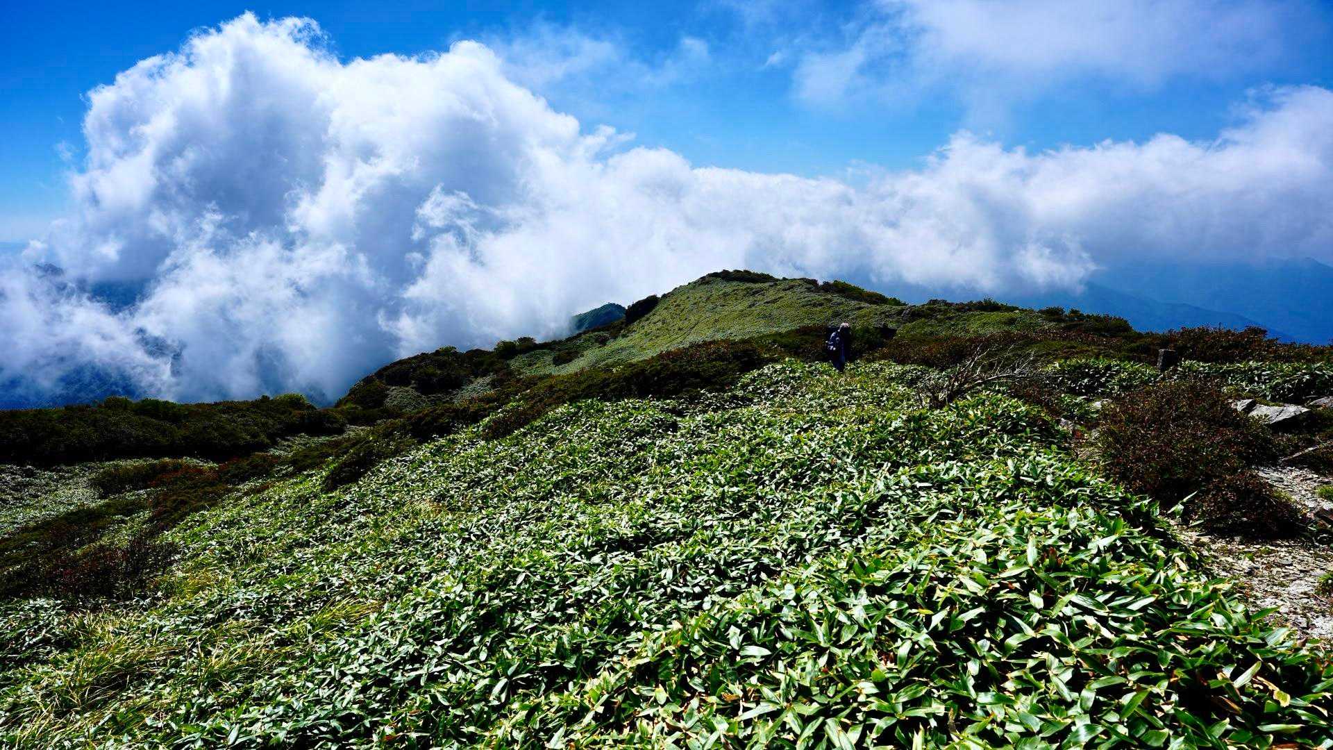 躍動感あり☁️