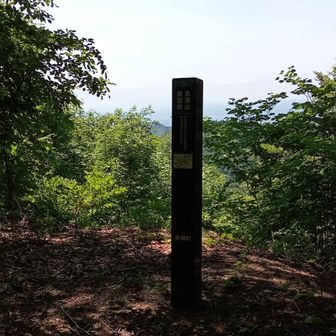 頭に鳥海山が霞んでますが…