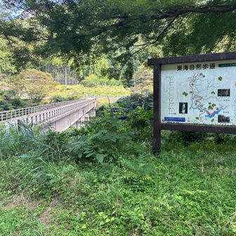 前回ここに来たのは何と5か月前の3月20日。
驚きですね。