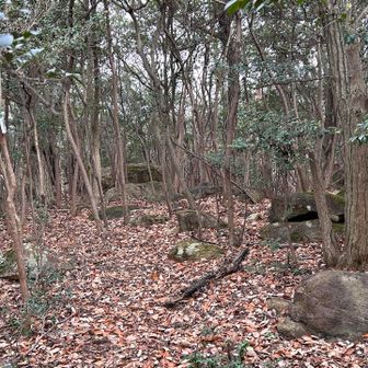 テープ探しながら引き返します