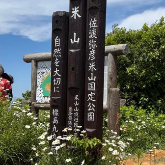 写真撮影団体さんかな？渋滞してました