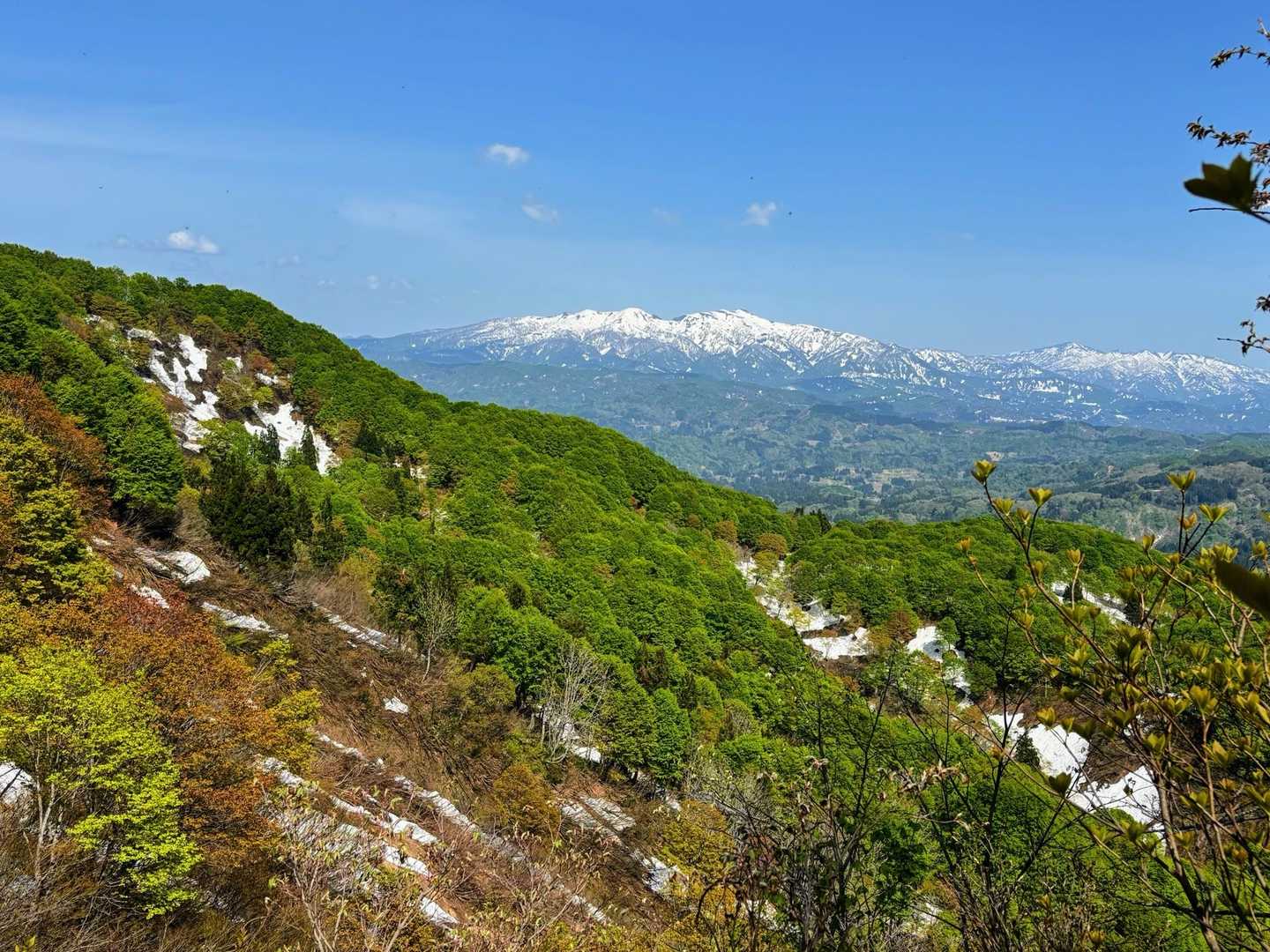 守門🏔️美しいし新緑の緑がキレイじゃあ