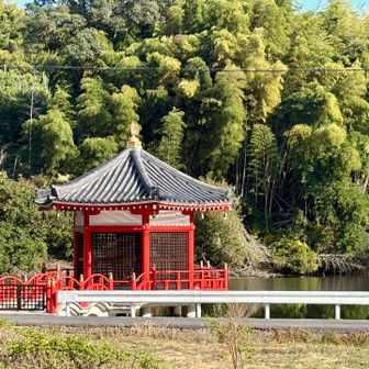 走って、🚙を取りに帰ってきました。
さあ、次は、セコップ旅へ。
日暮れの時間まで🏃🏿‍♀️走れー。