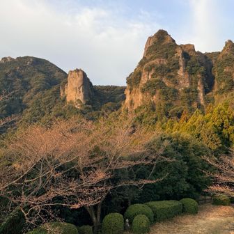 別名「肥前耶馬溪」とも呼ばれている🍁
朝日に照らされて赤く染まっている🌄