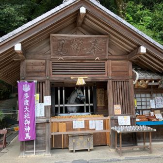 いつも、神馬、銀山号🫏の前に、人がいたり、お散歩中で居なかったり、今日は、写真🤳撮れました❣️