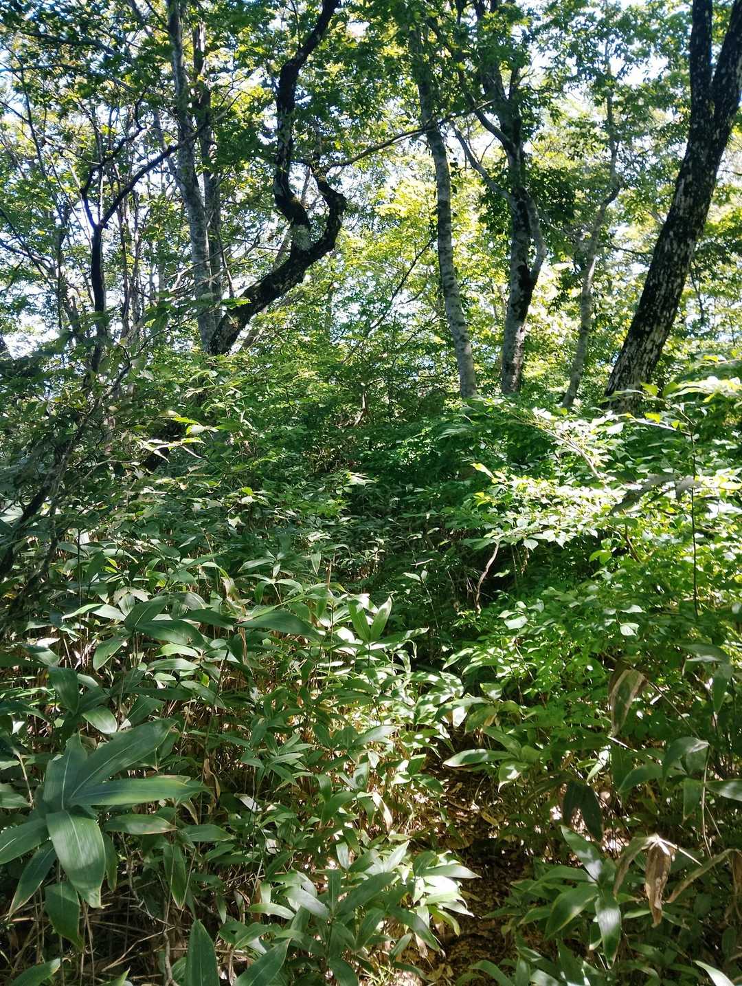 座るトコもないので立ち食いで軽食を頬張り足早に下山しました🚶