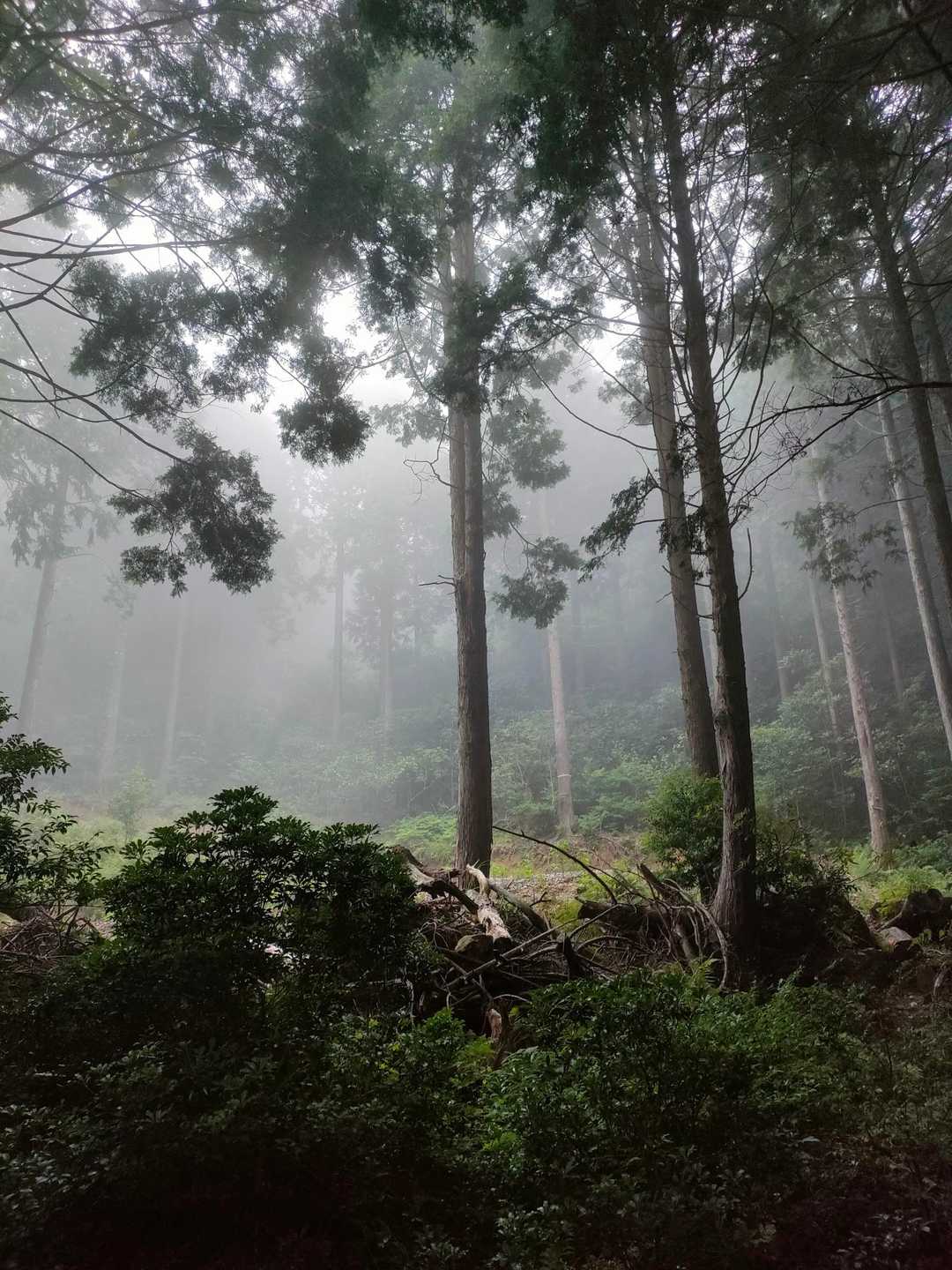この辺りから天気崩れだす☔