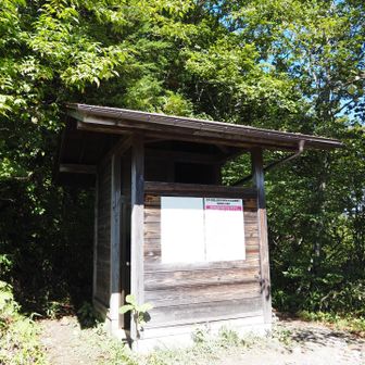 トイレ🚽