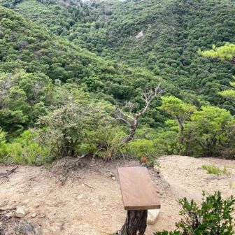 （注意）行者山東観峰から行者山に向かうルートは左側の稜線の山道です。右側の下るルートは途中でロストします。
わたしは間違えて右側ルートのザレた斜面を降りて途中で転んで手首をそこそこ擦りむきました涙