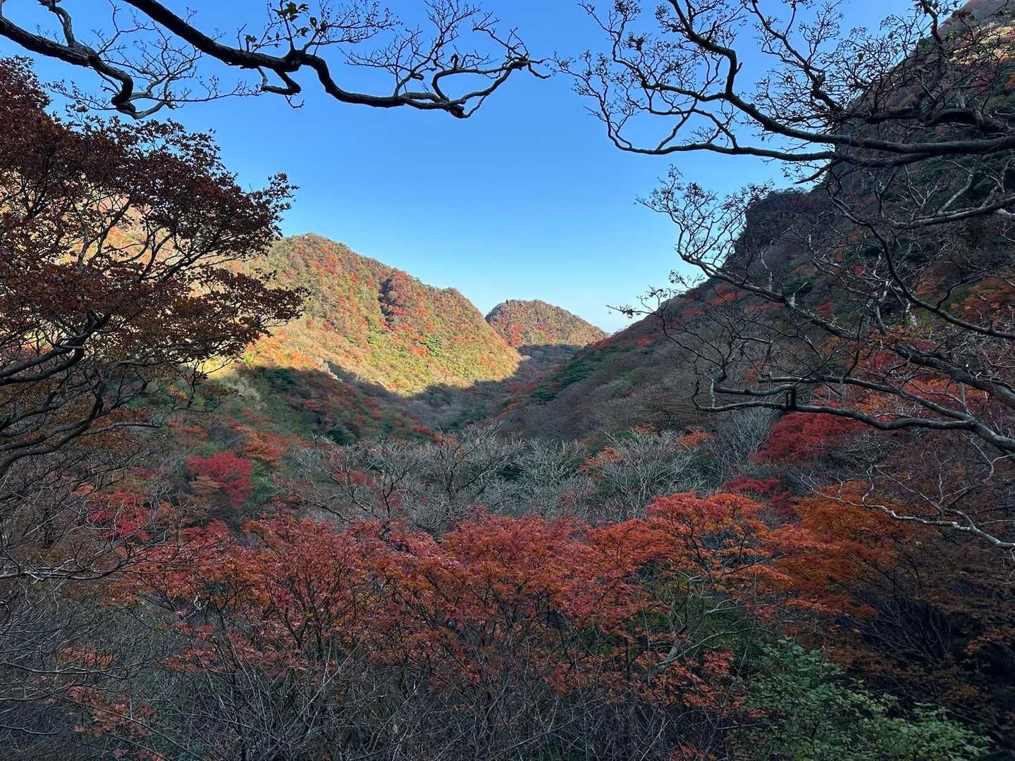 鬼人谷の紅葉🍁