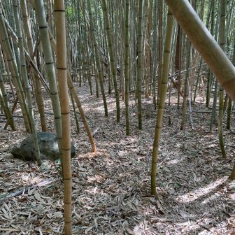 ピンクテープはあるけど、誰もいないならちょっと不安😓