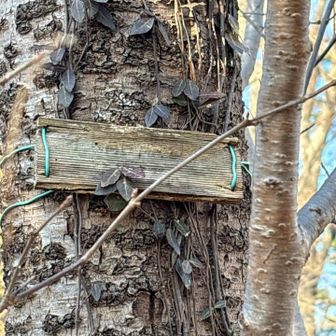 読めませんね、すぐそばには航空神社のお社が