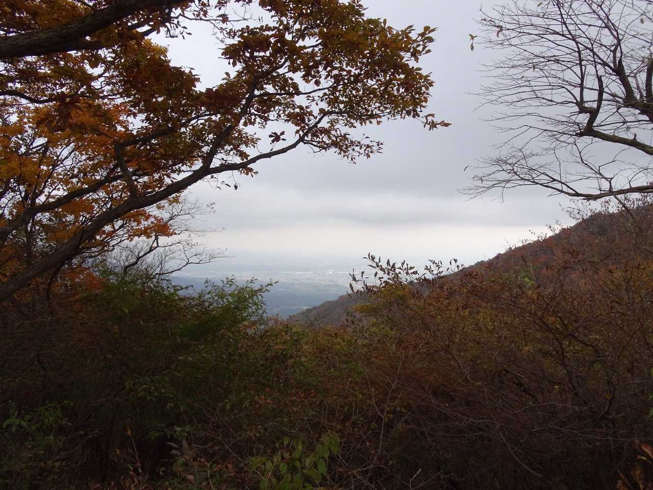 どんどん雲☁️が…