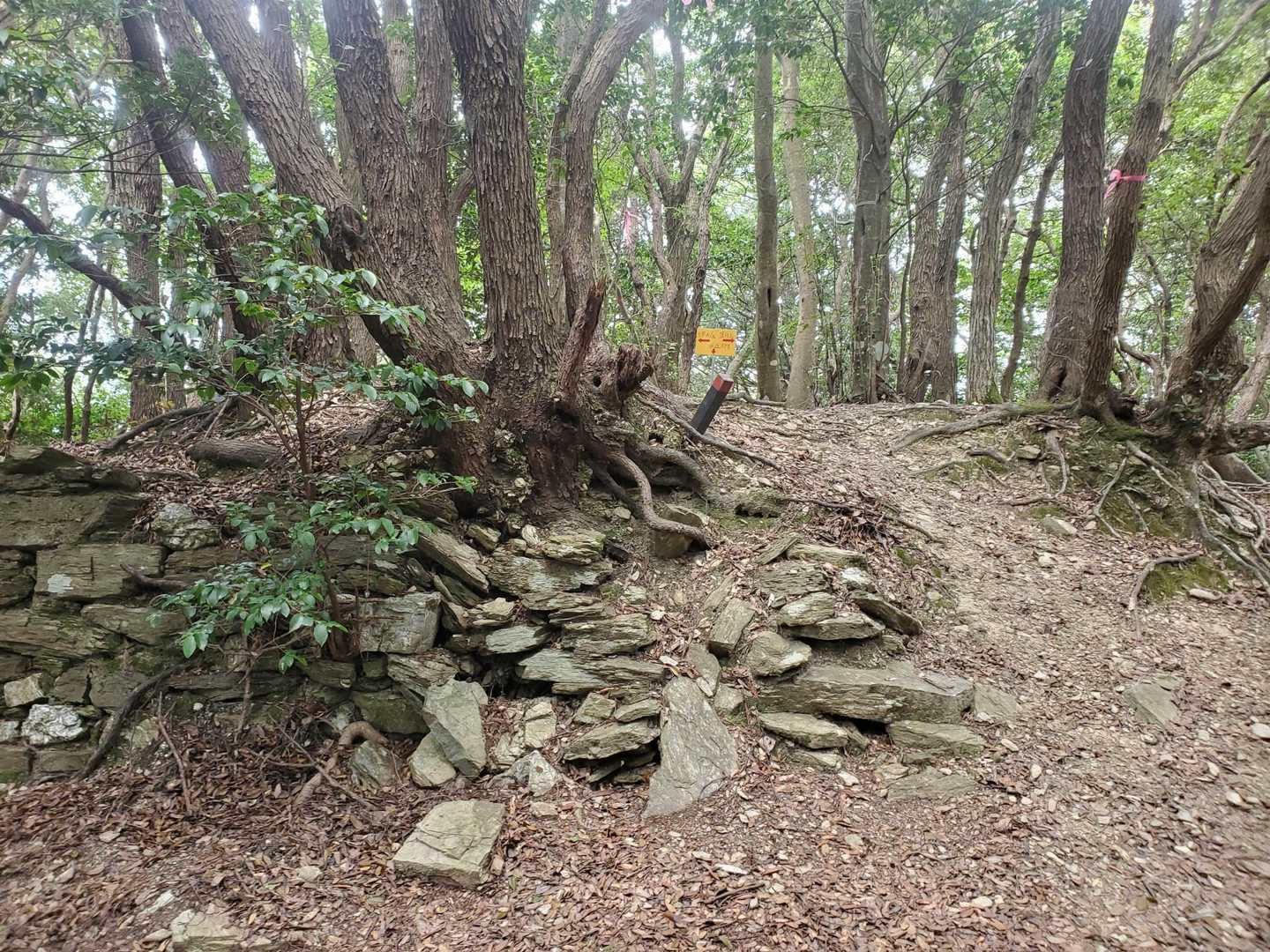 尾根に出ました🙌