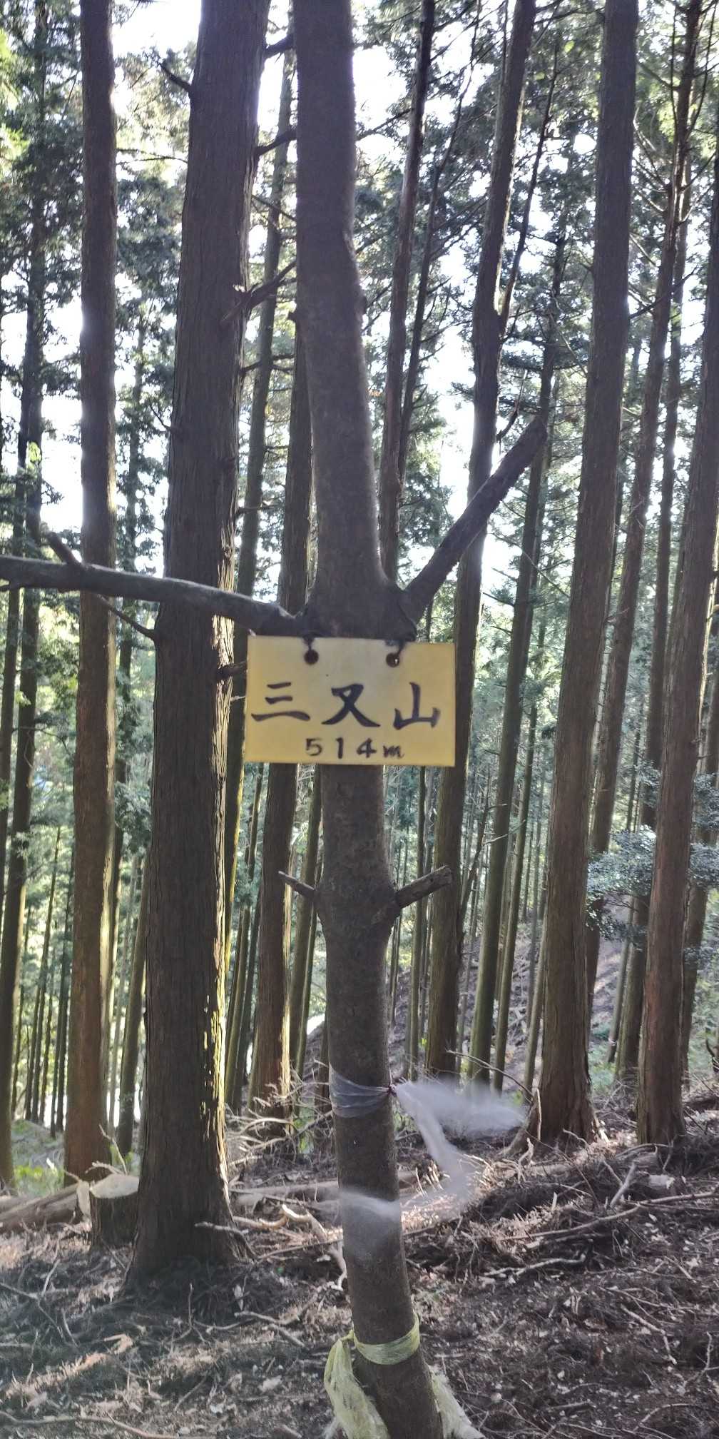 三又山につきました～♪道中のピークですね～♪