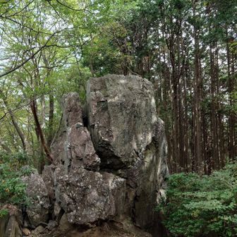 岩茸石　
この岩も登れます