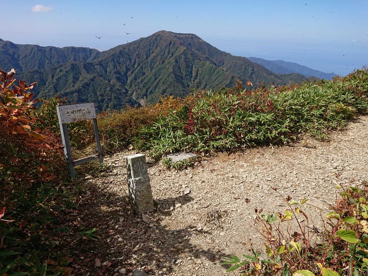 サワガニ山着いた～。
サワガニは見当たらないし、不思議な山名だ。