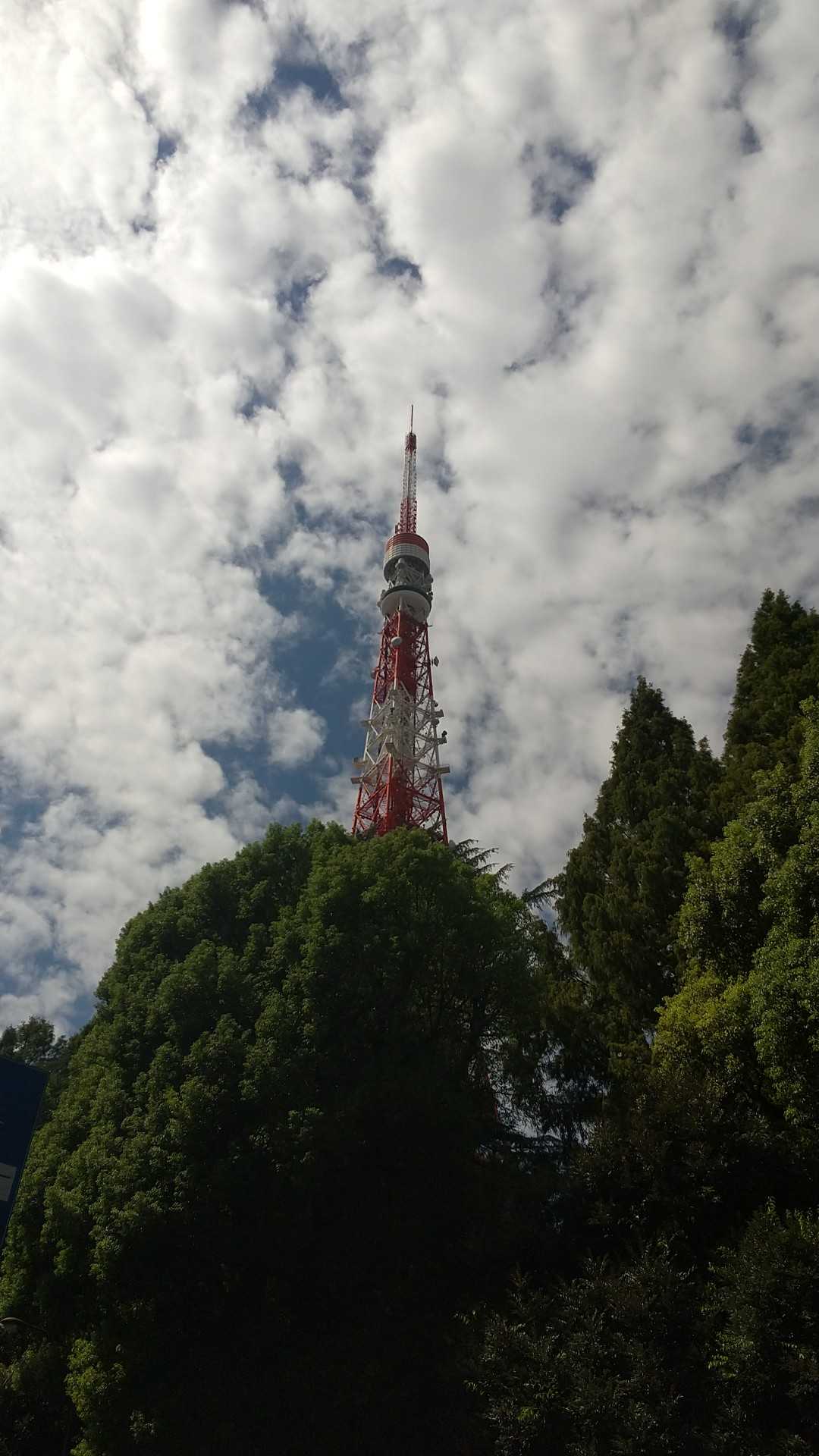 ホテルは東京タワーの近くにあります🗼