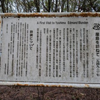 素敵な文章。