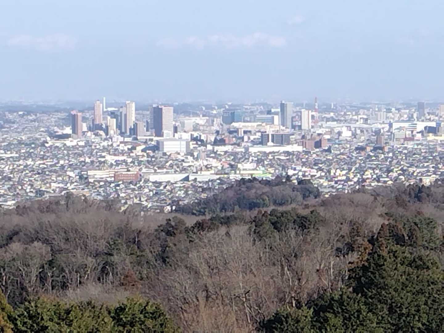 展望台から、相模原市街方面。