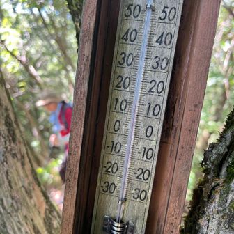 17° 風もあり涼しい
