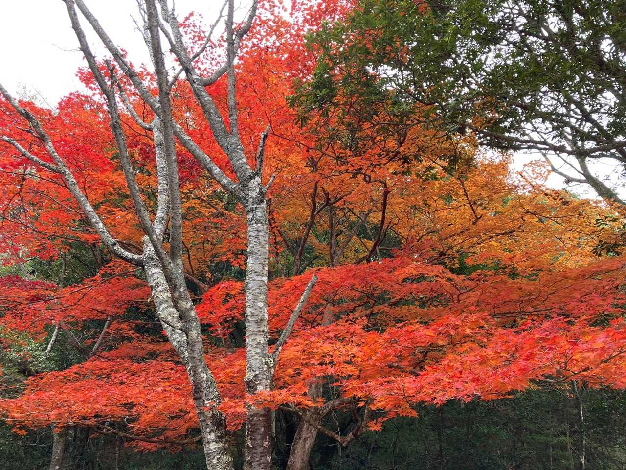 大元公園