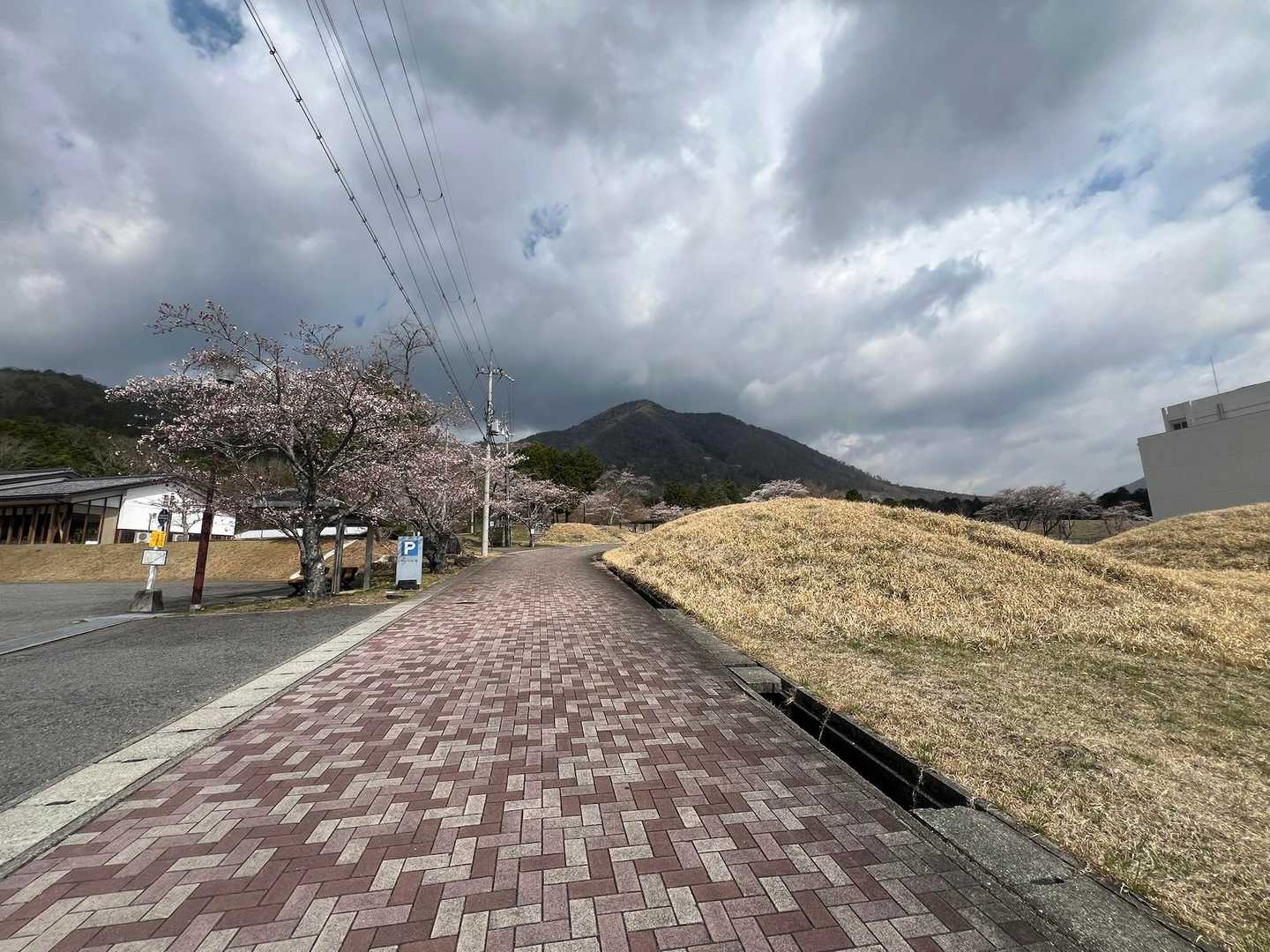 東山登山口-妙見山-牧野登山口 周回コースの写真