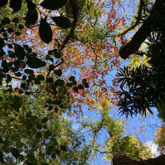 弥勒山を目指します♪