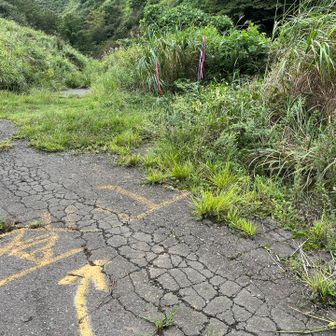 登山道はここから右に下るのだよ