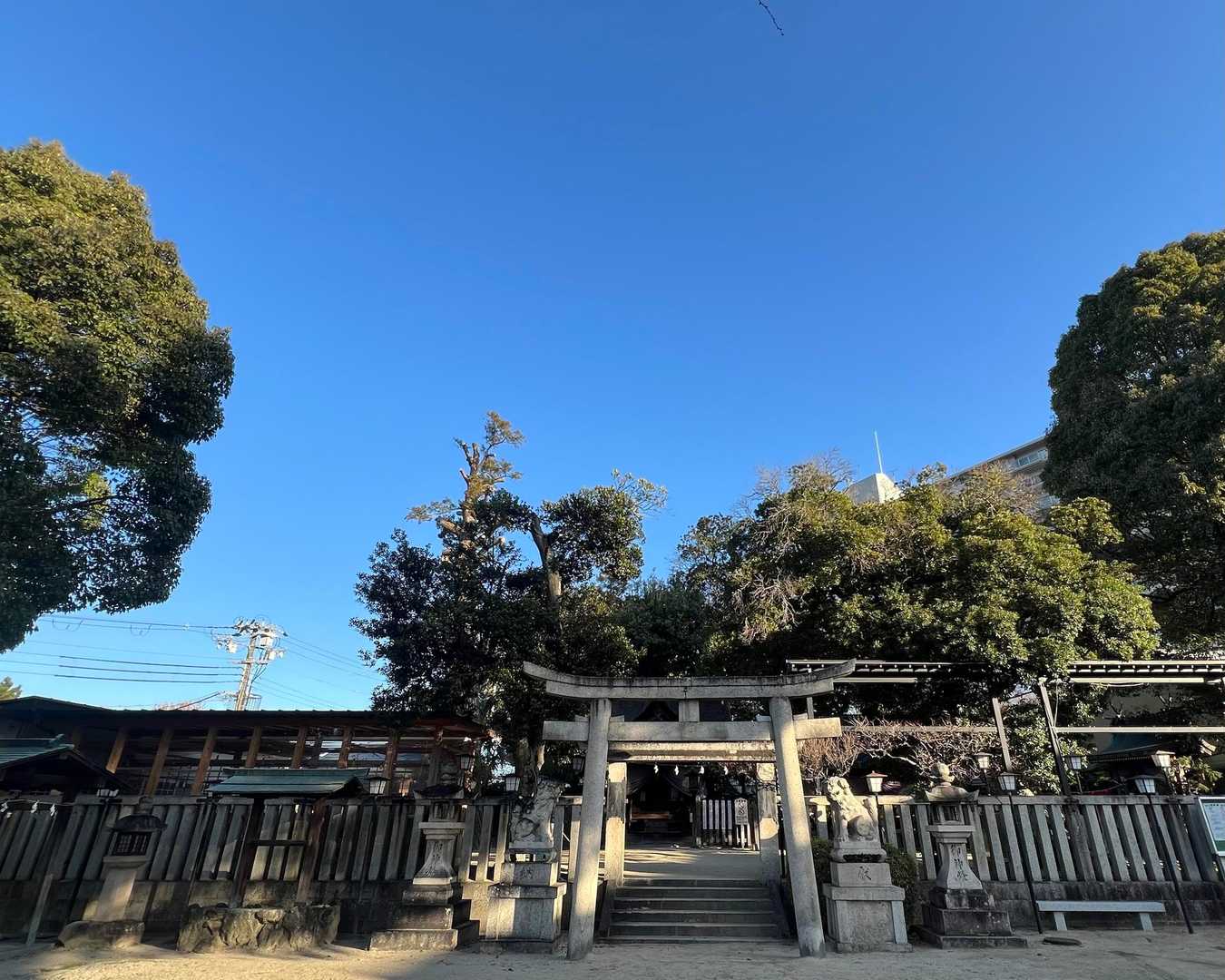 長野神社
大きな銀杏の木がありました